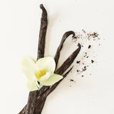 شمعة TÖRNFÅGEL برائحة الفانيليا (20 ساعة)