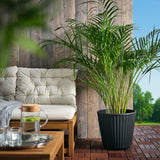 آنية نباتات BJÖRNBAMBU (32 سم)