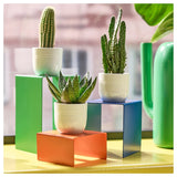 ستاند اكسسوارات BRÄNNBOLL ملون (3 قطع)