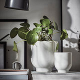 آنية نباتات DRÖMSK باللون الأبيض (15 سم)