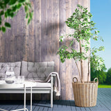 آنية نباتات FLODBJÖRK (41 سم)