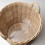 آنية نباتات FLODBJÖRK (41 سم)