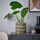 آنية نباتات  HASSELBUKETT (15 سم)