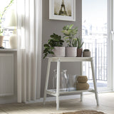 آنية نباتات  HONUNGSPALM  (15 سم)