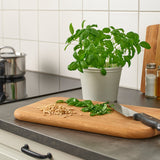 آنية نباتات KÖRSBÄRSBJÖRK (12 سم )