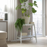 آنية نباتات KÖRSBÄRSBJÖRK (24 سم )