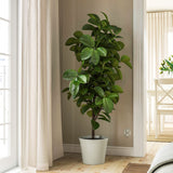 آنية نباتات KÖRSBÄRSBJÖRK (24 سم )