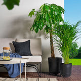 آنية نباتات PÄRLRÖNN باللون الاسود (٢٤ سم)