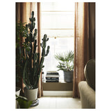 ستارة RINGBLOMMA(140*160سم) باللون البيج