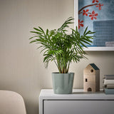 آنية نباتات SOJABÖNA (9 سم)