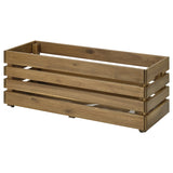 آنية نباتات STJÄRNANIS (75×27 سم)